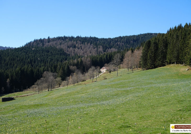 SUR SITE NATUREL CLASSE ! ENSEMBLE IMMOBILIER DE GRANDE CAPACITE - MA2725AP
