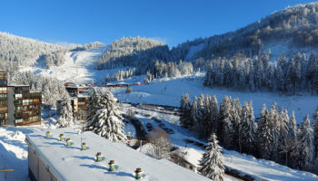 VUE SUR LES PISTES ! Appartement 2 p 46 m² stationnement, cave et grand balcon de 13 m²