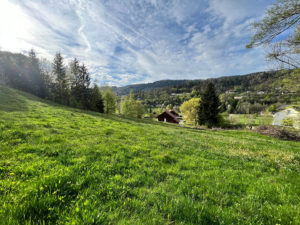 10 MIN GERARDMER. PARCELLE DE TERRAIN DE 3570 m² VUE DEGAGEE ENVIRONNEMENT VERDOYANT