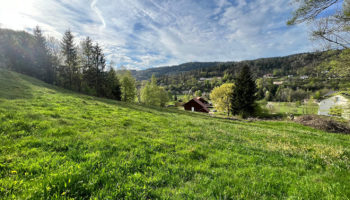 10 MIN GERARDMER. PARCELLE DE TERRAIN DE 3570 m² VUE DEGAGEE ENVIRONNEMENT VERDOYANT