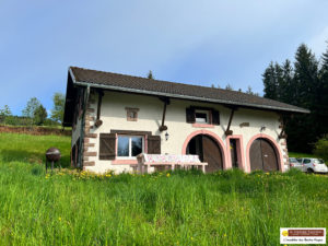 10 MIN GERARDMER MAISON AV CACHET SUR 3000 m² de TERRAIN