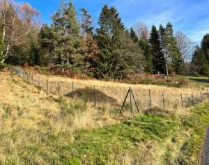 BELLE PARCELLE DE TERRAIN CLOS, JOLIE VUE, LISIERE DE FORET