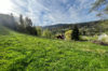  - TR2877AT