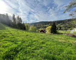 10 MIN GERARDMER. GRANDE ET BELLE PARCELLE DE TERRAIN 32  / M² !