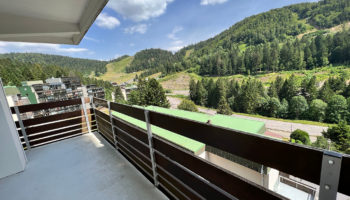 EXCLUSIF ! LA BRESSE APT PIED DES PISTES !