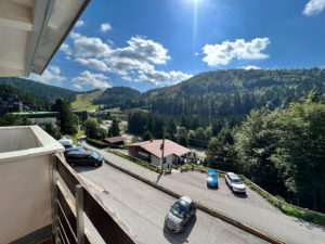 APPARTEMENT 2 PIECES FACE AUX PISTES. AV BALCON CASIER A SKI ET PKING