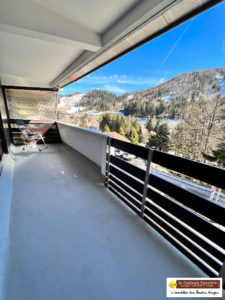 EXCLUSIF !  PIED DES PISTES APT 2 PIECES TERRASSE