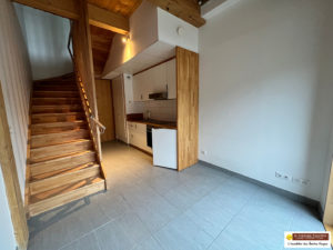 F1 BIS EN DUPLEX ! CENTRE VILLE LA BRESSE !