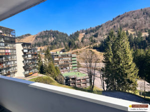 EXCLUSIF ! PIED DES PISTES APT 1 CHAMBRE ET TERRASSE !