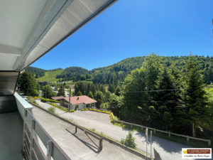 EXCLUSIF !  PIED DES PISTES APT 2 PIECES TERRASSE