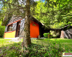 SUR LES HAUTEURS DU MENIL VUE EXCEPTIONNEL POUR CE  CHALET COUP DE COEUR