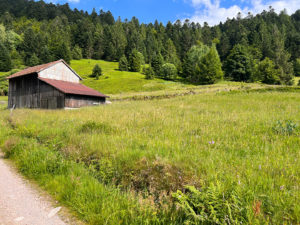 A VENDRE – TERRAIN AVEC HANGAR À LA BRESSE – ENVIRON 1000 m² CONSTRUCTIBLES