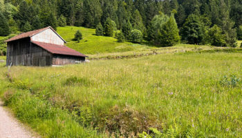 A VENDRE – TERRAIN AVEC HANGAR À LA BRESSE – ENVIRON 1000 m² CONSTRUCTIBLES
