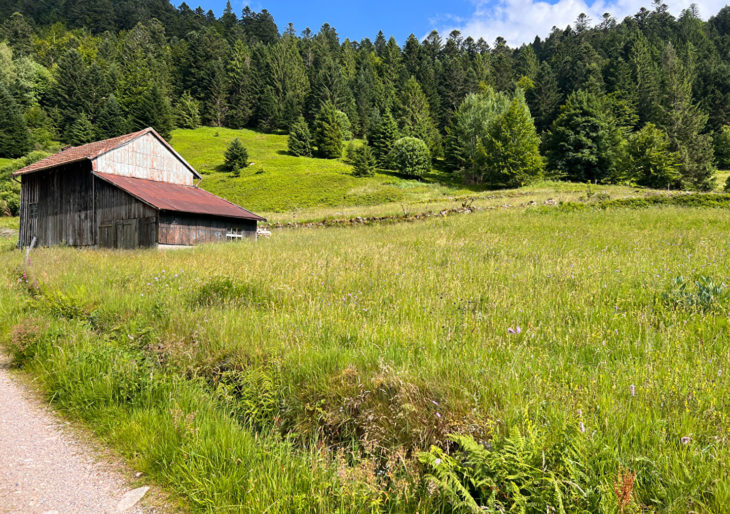 A VENDRE – TERRAIN AVEC HANGAR À LA BRESSE – ENVIRON 1000 m² CONSTRUCTIBLES - TR3080AT