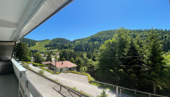 EXCLUSIF !  PIED DES PISTES APT 2 PIECES TERRASSE