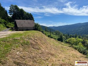 RARE, FERME VOSGIENNE  AVEC UNE VUE  PANORAMIQUE  A 360 ° EXPOSITION SUD