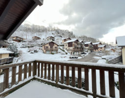 LA BRESSE ! DUPLEX AVEC TERRASSE, GARAGE ET ENTRÉE INDIVIDUELLE
