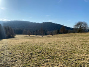 TERRAIN D’EXCEPTION A LIEZEY 19 000 m²