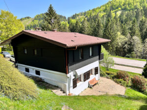 CHALET 4 PIECES PIED DE PISTES