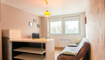 Studio sur les hauteurs de Gérardmer !