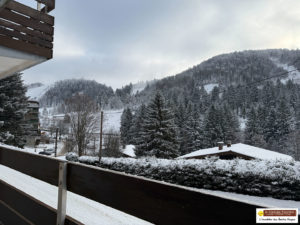 A VENDRE APPARTEMENT RENOVE 38 m² AVEC BALCON