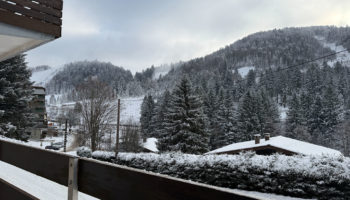 A VENDRE APPARTEMENT RENOVE 38 m² AVEC BALCON