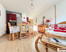 A VENDRE APPARTEMENT RENOVE 38 m² AVEC BALCON