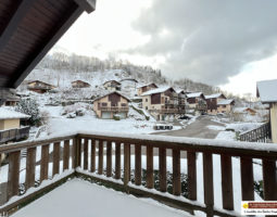LA BRESSE ! DUPLEX AVEC TERRASSE, GARAGE ET ENTRÉE INDIVIDUELLE