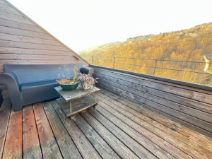 LA BRESSE ! Appartement de 57 m2 avec terrasse