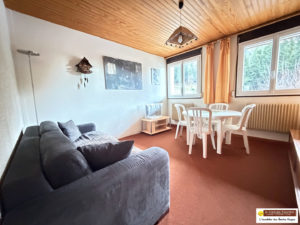 LA BRESSE APPARTEMENT 2 PIECES 35m² PARKING