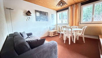 LA BRESSE APPARTEMENT 2 PIECES 35m² PARKING