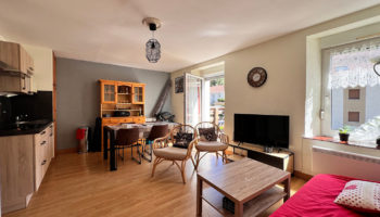 LA BRESSE : Appt deux pièces + coin montagne