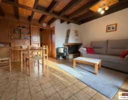 PROXIMITE DU CENTRE AVEC GARAGE ET TERRASSE