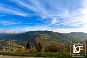 LA BRESSE APPARTEMENT AVEC VUE EPOUSTOUFLANTE !