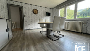 LA BRESSE ! Appartement 3 pieces de plain-pied avec terrain