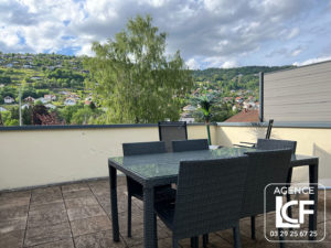 LA BRESSE, appartement avec grande terrasse