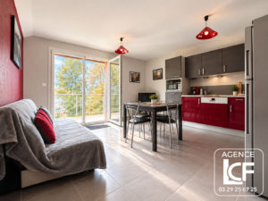 BEL APPARTEMENT 3 PIECES AGREABLE AVEC TERRASSE