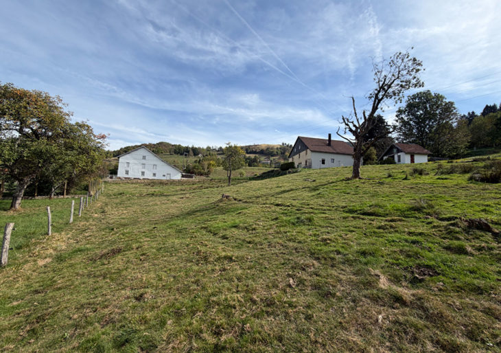  - TR3229SD