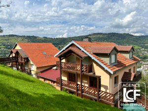LA BRESSE  APPARTEMENT AVEC VUE